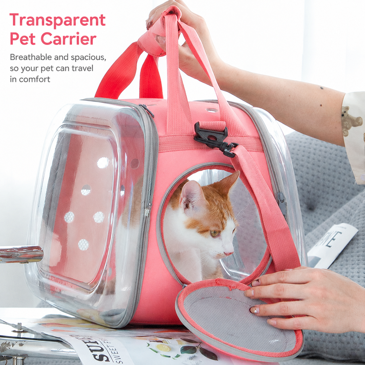 Clear-view Pet Carrier