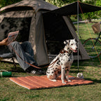 Reversible Travel Pet Camping Mat