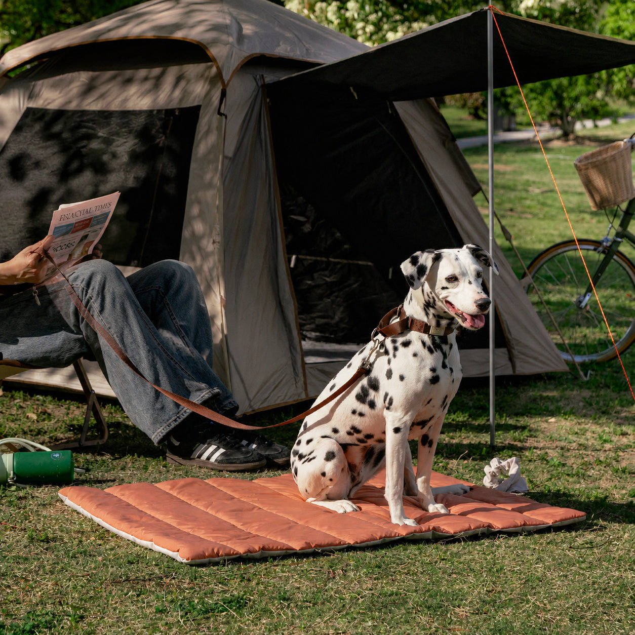 Reversible Travel Pet Camping Mat
