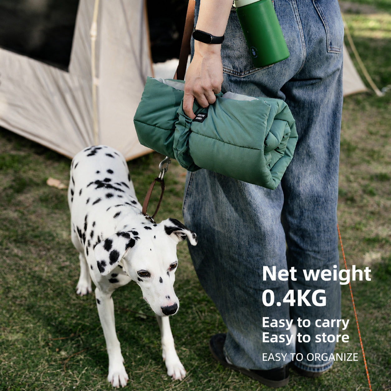 Reversible Travel Pet Camping Mat