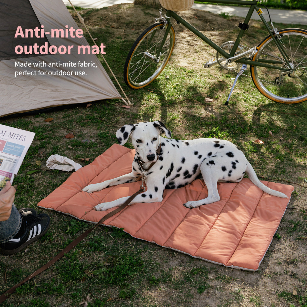 Reversible Travel Pet Camping Mat