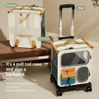 Two-cat Travel Backpack Set