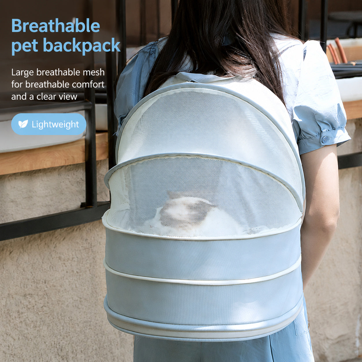 Expandable Mesh Pet Backpack