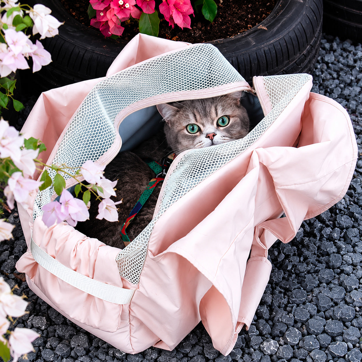 Breathable Mesh Pet Carrier Tote