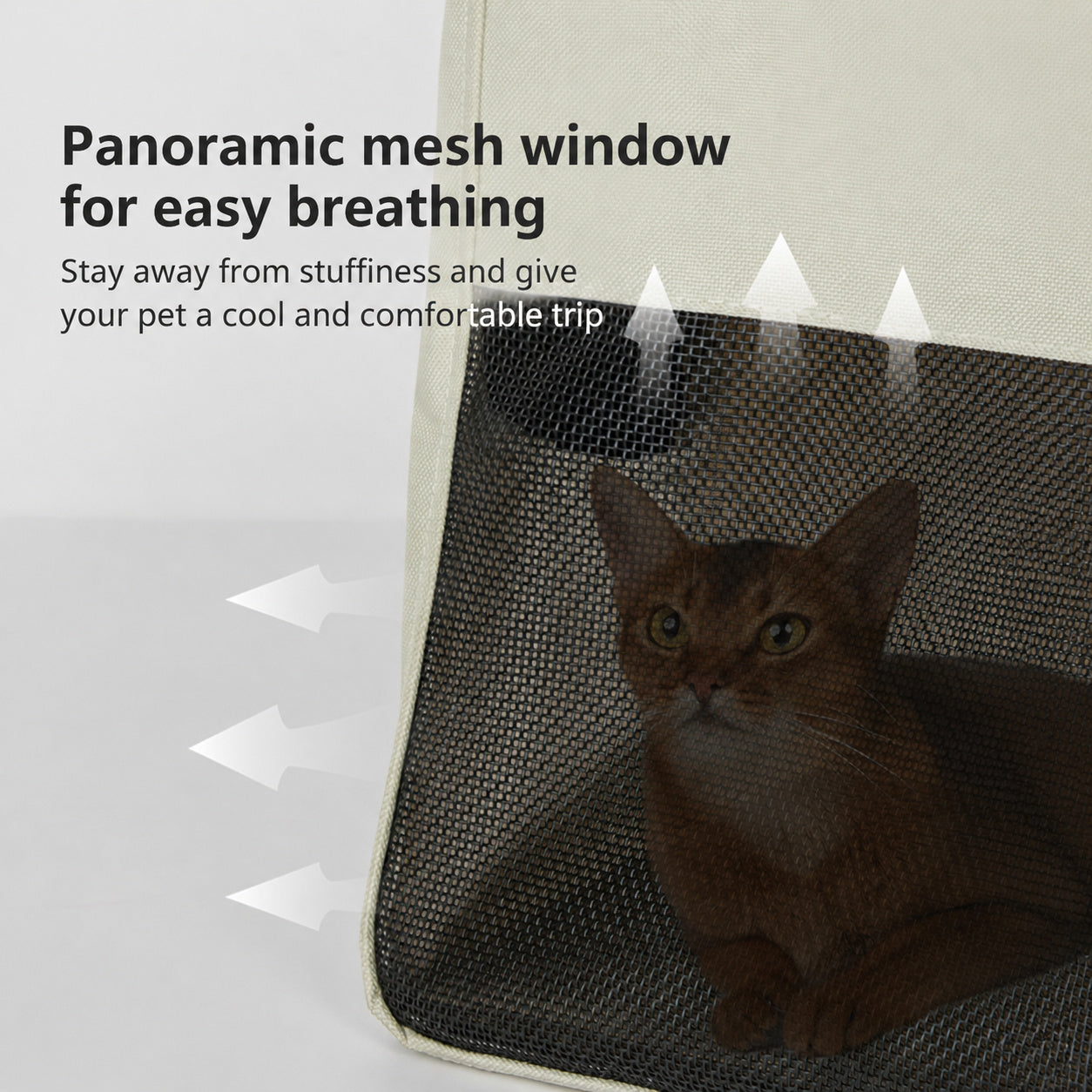 Canvas Pet Tote Carrier