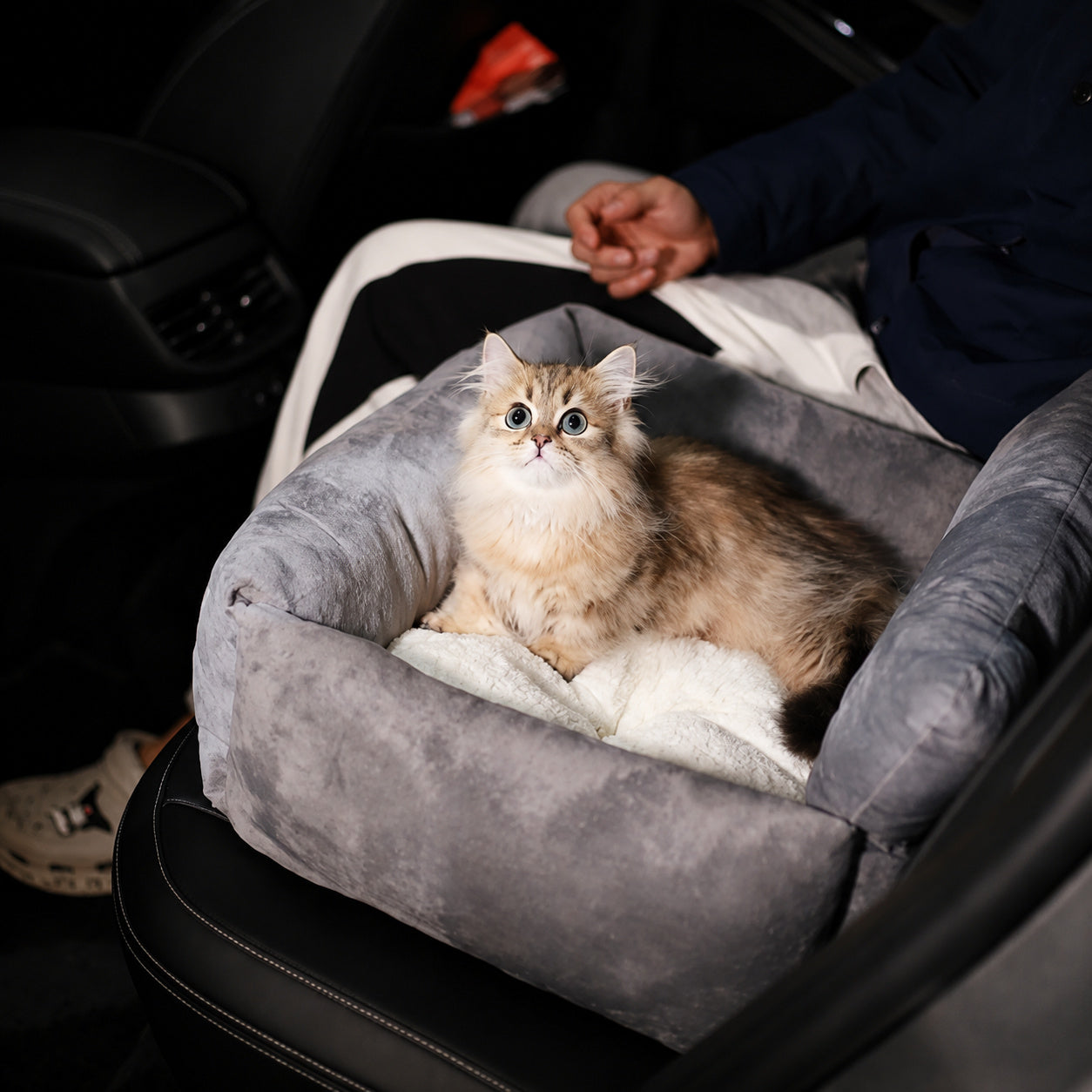 Cloud-soft Pet Car Bed