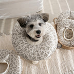 Floral Recovery Collar Pillow