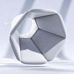 Reversible Recovery Collar