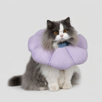 Waterproof Recovery Cat Collar