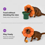Waterproof Recovery Cat Collar