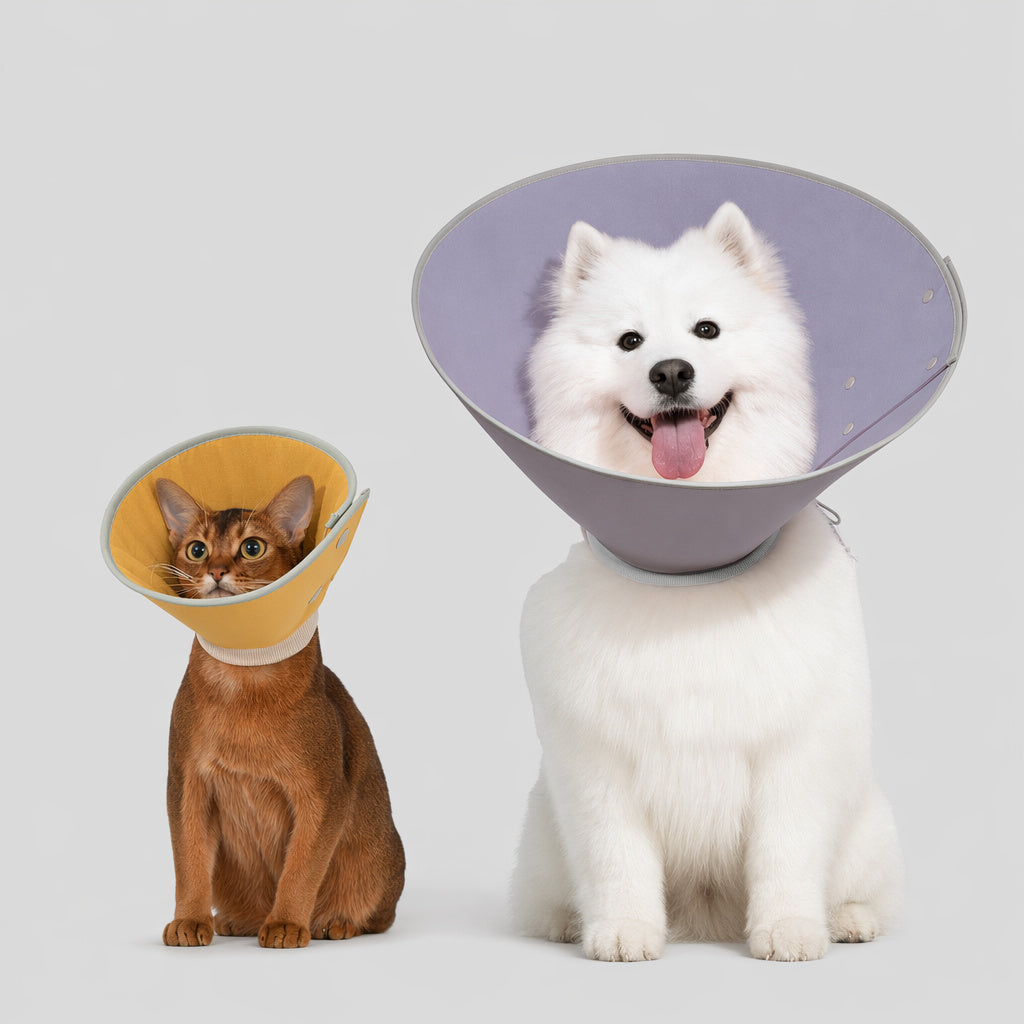 Waterproof Recovery Cone