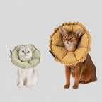 Gingham Plush Recovery Collar