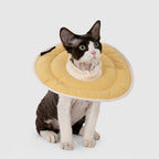 Featherlight Recovery Cat Collar