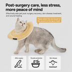 Featherlight Recovery Cat Collar