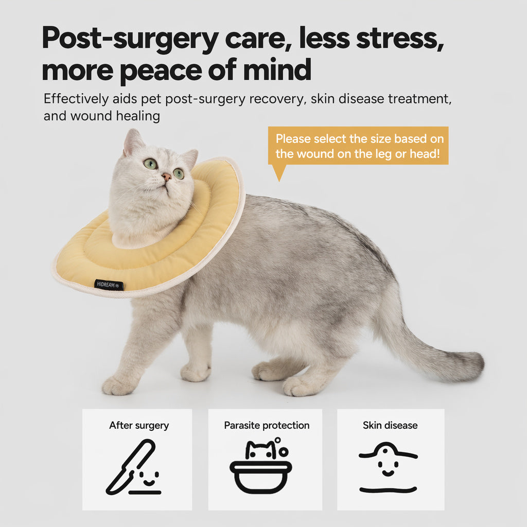 Featherlight Recovery Cat Collar