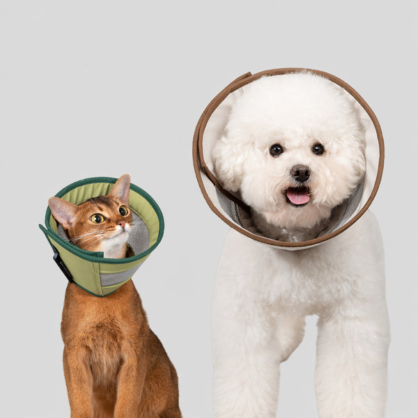 Breathable 3D Mesh Pet Cone Collar
