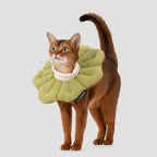 Petal-soft Recovery Collar