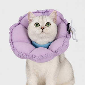 Petal-soft Recovery Cat Collar