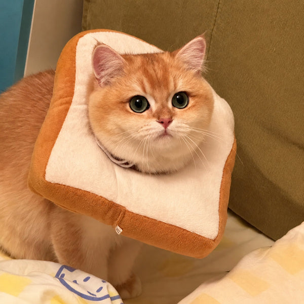 Plush Toast & Pear Soft Pet Collar