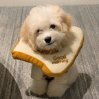 Plush Toast Recovery Collar