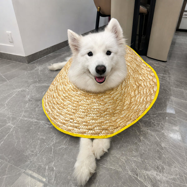 Sunhat-Style Breathable Dog Cone Collar (Large Breeds)
