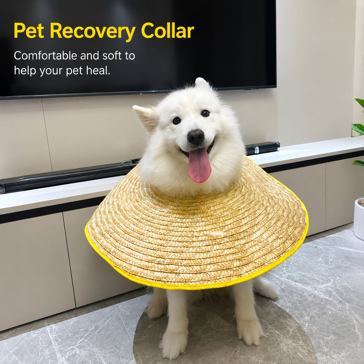 Breezy Recovery Dog Collar