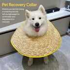 Breezy Recovery Dog Collar