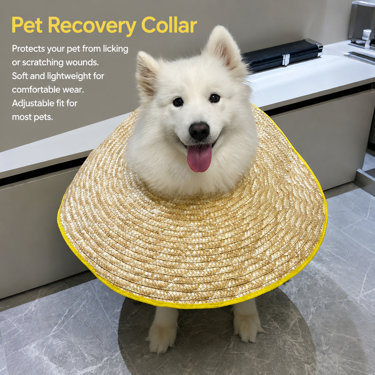 Breezy Recovery Dog Collar