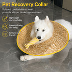 Breezy Recovery Dog Collar