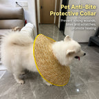 Breezy Recovery Dog Collar