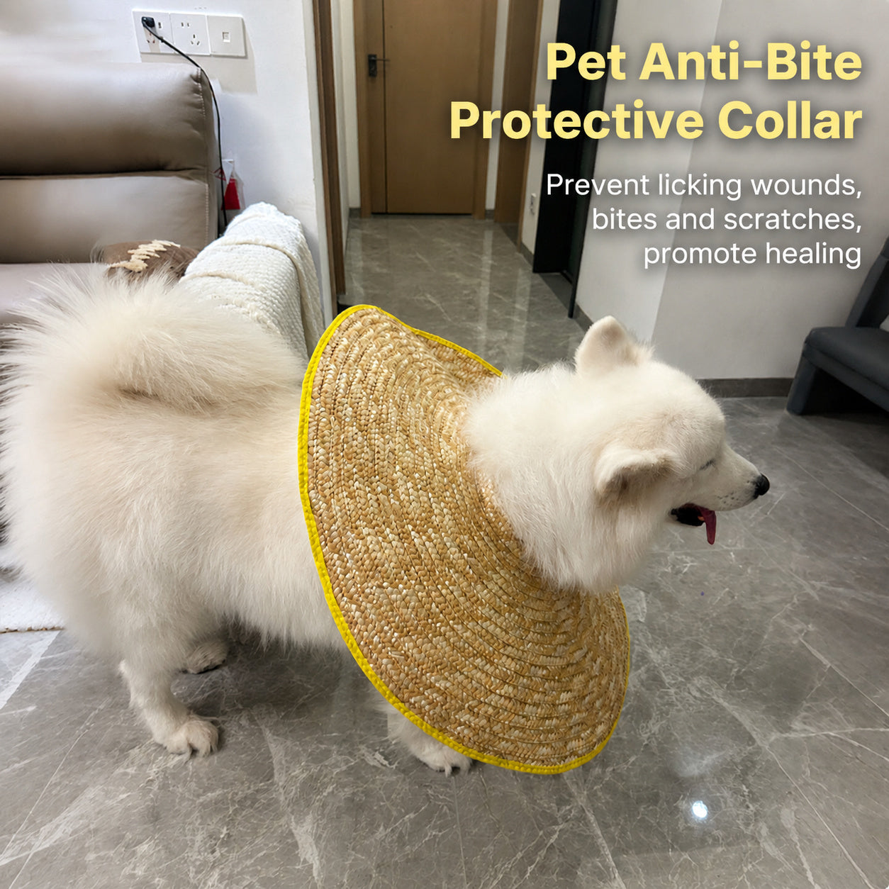 Breezy Recovery Dog Collar