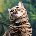 Breakaway Safety Cat Collar