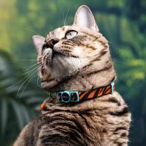 Breakaway Safety Cat Collar