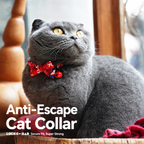 Breakaway Safety Cat Collar