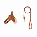 Escape-Proof Harness Leash Set