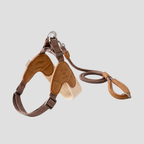 Escape-Proof Harness Leash Set