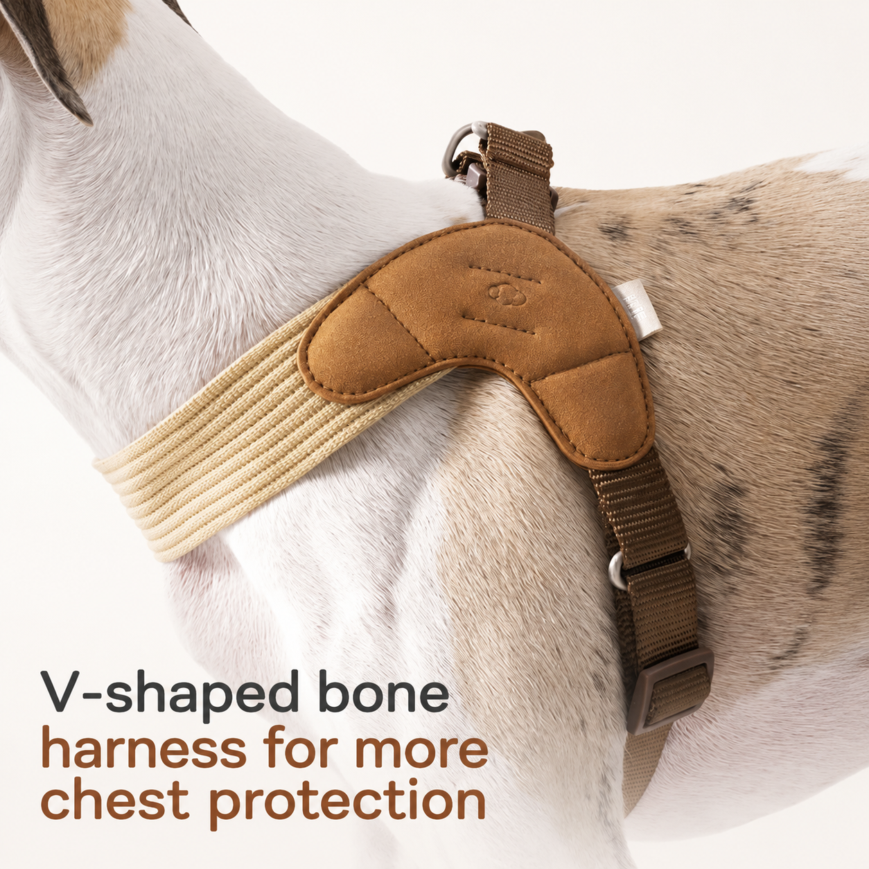 Escape-Proof Harness Leash Set