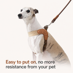 Escape-Proof Harness Leash Set