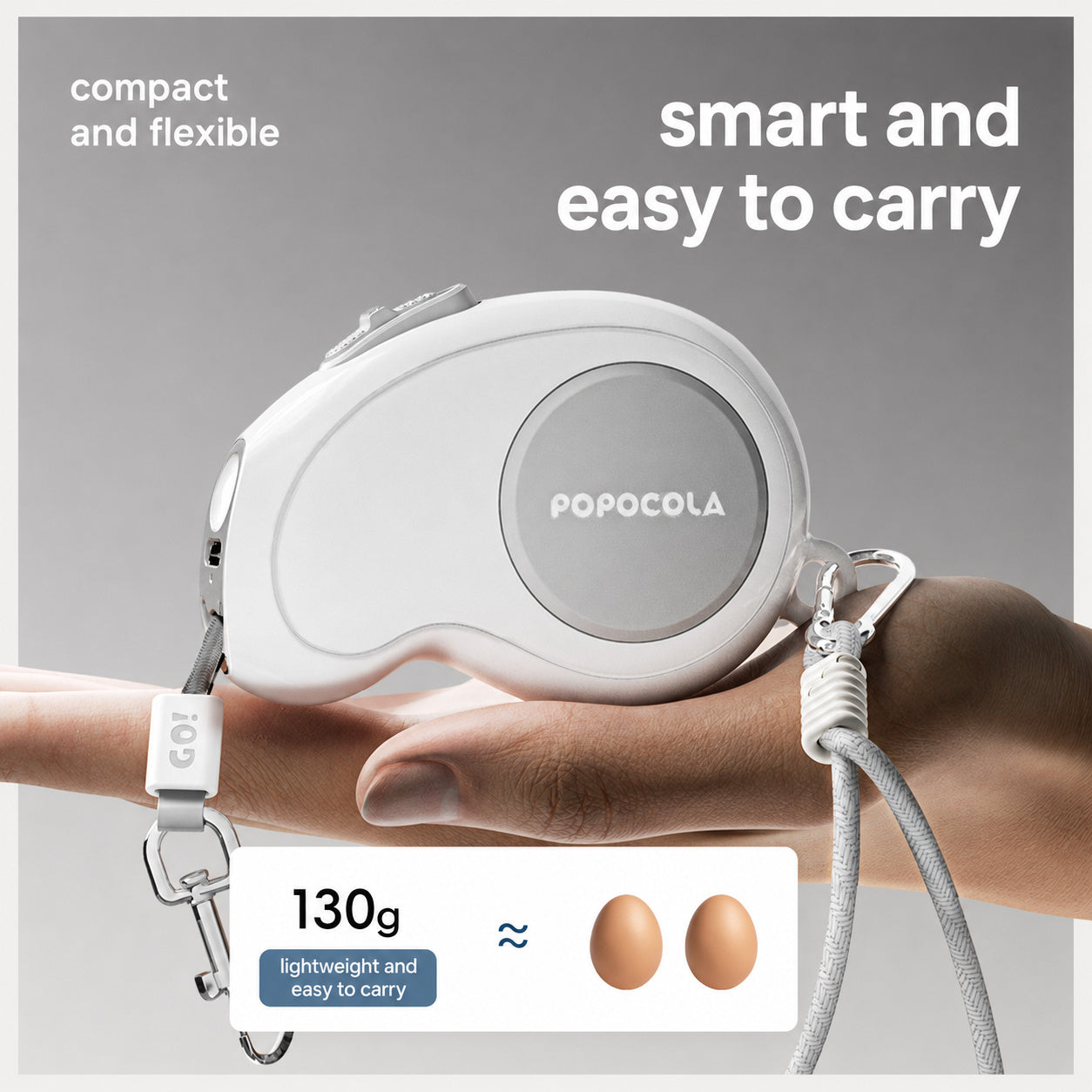 Retractable Auto-lock Dog Leash