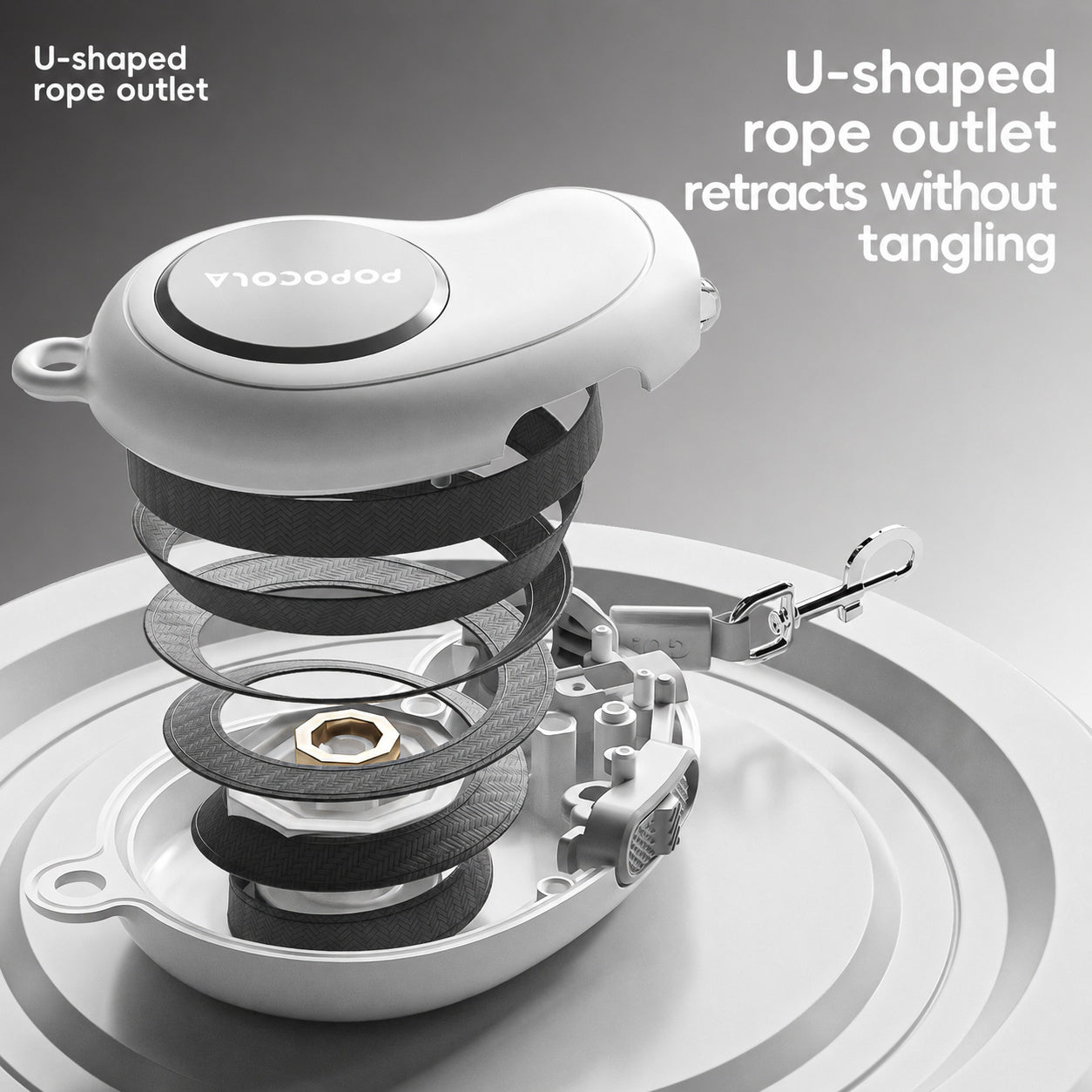 Retractable Auto-lock Dog Leash
