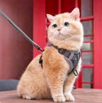 Escape-proof Reflective Cat Harness