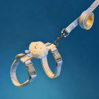 Gradient Cat Harness Leash Set