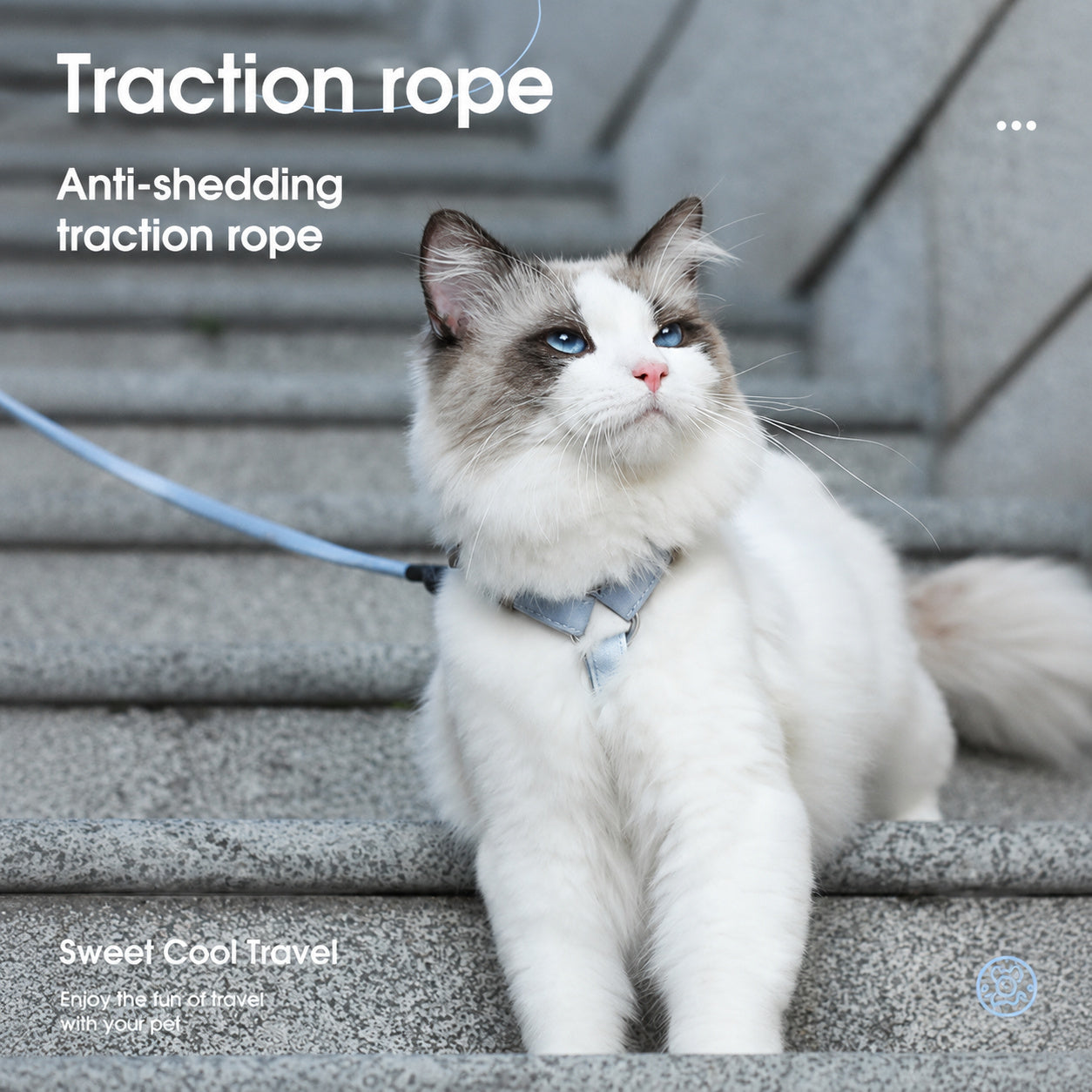 Gradient Cat Harness Leash Set