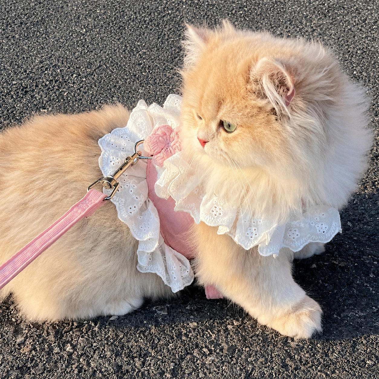 Ruffle Cat Harness Set