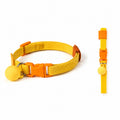 Pop-Color Stretch Cat Collar