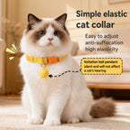 Pop-Color Stretch Cat Collar
