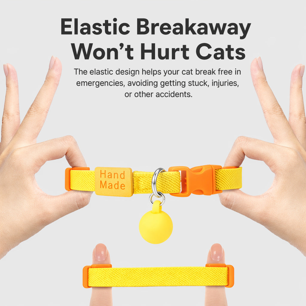 Pop-Color Stretch Cat Collar