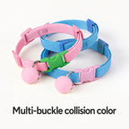 Pop-Color Stretch Cat Collar