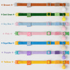 Pop-Color Stretch Cat Collar
