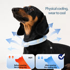 PCM Cooling Pet Collar